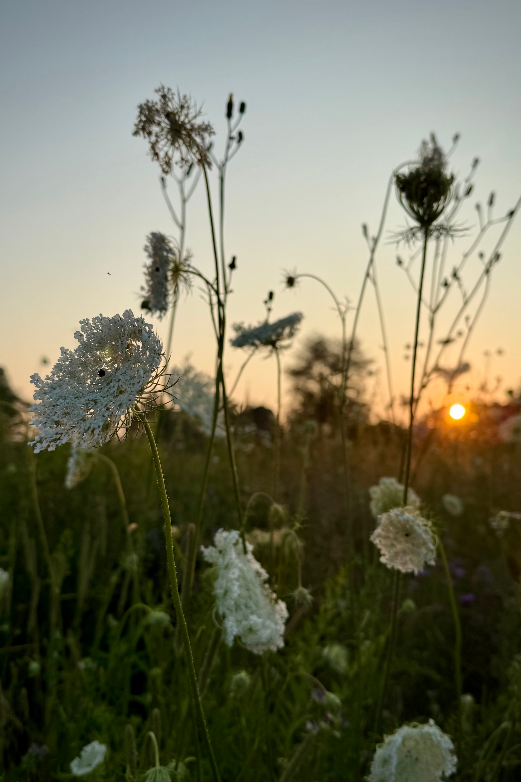Standing Tall Again: The Courage to Heal (Luke 13)