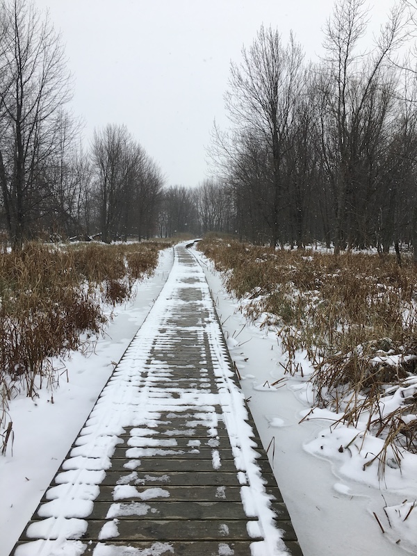 Advent Peace: The Kind That Grows From Within