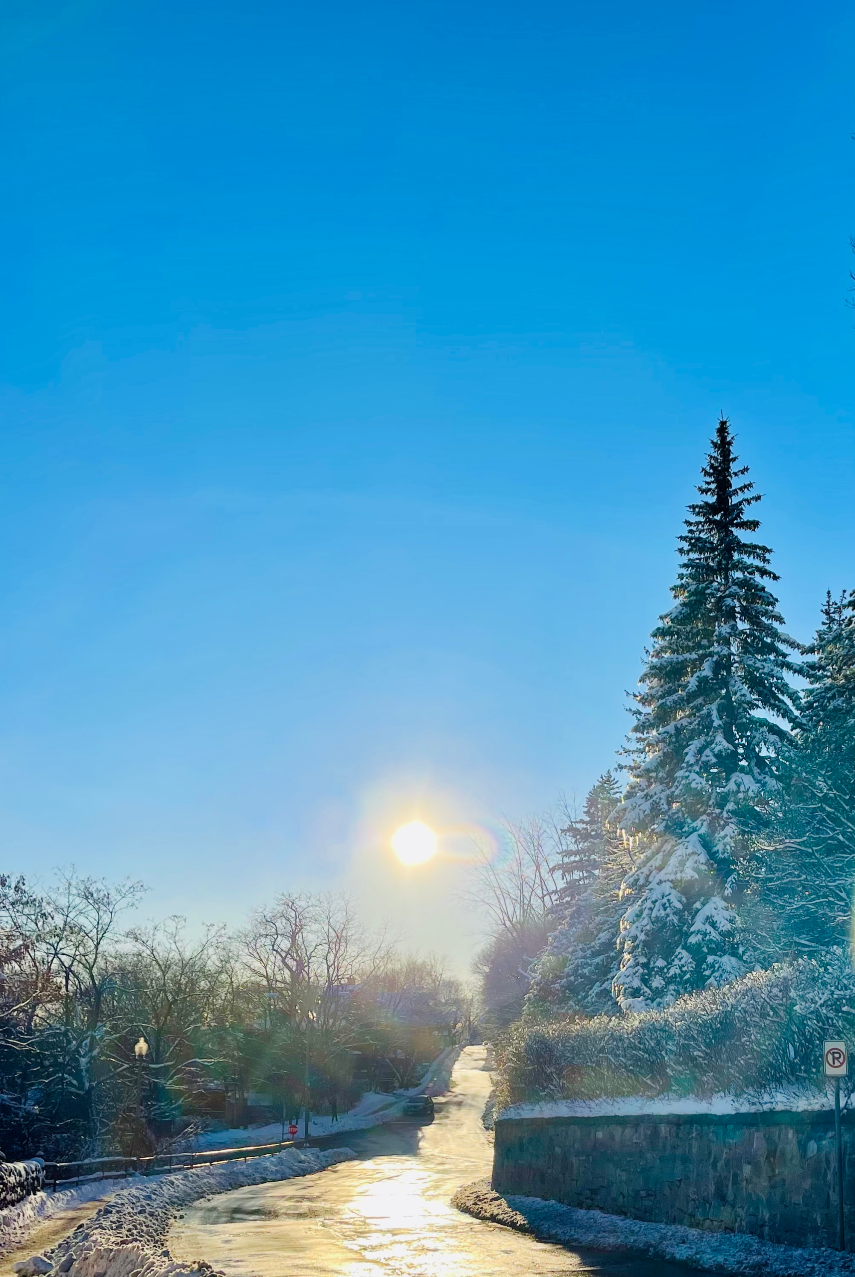 Epiphany: The Light That Arrives and Leads